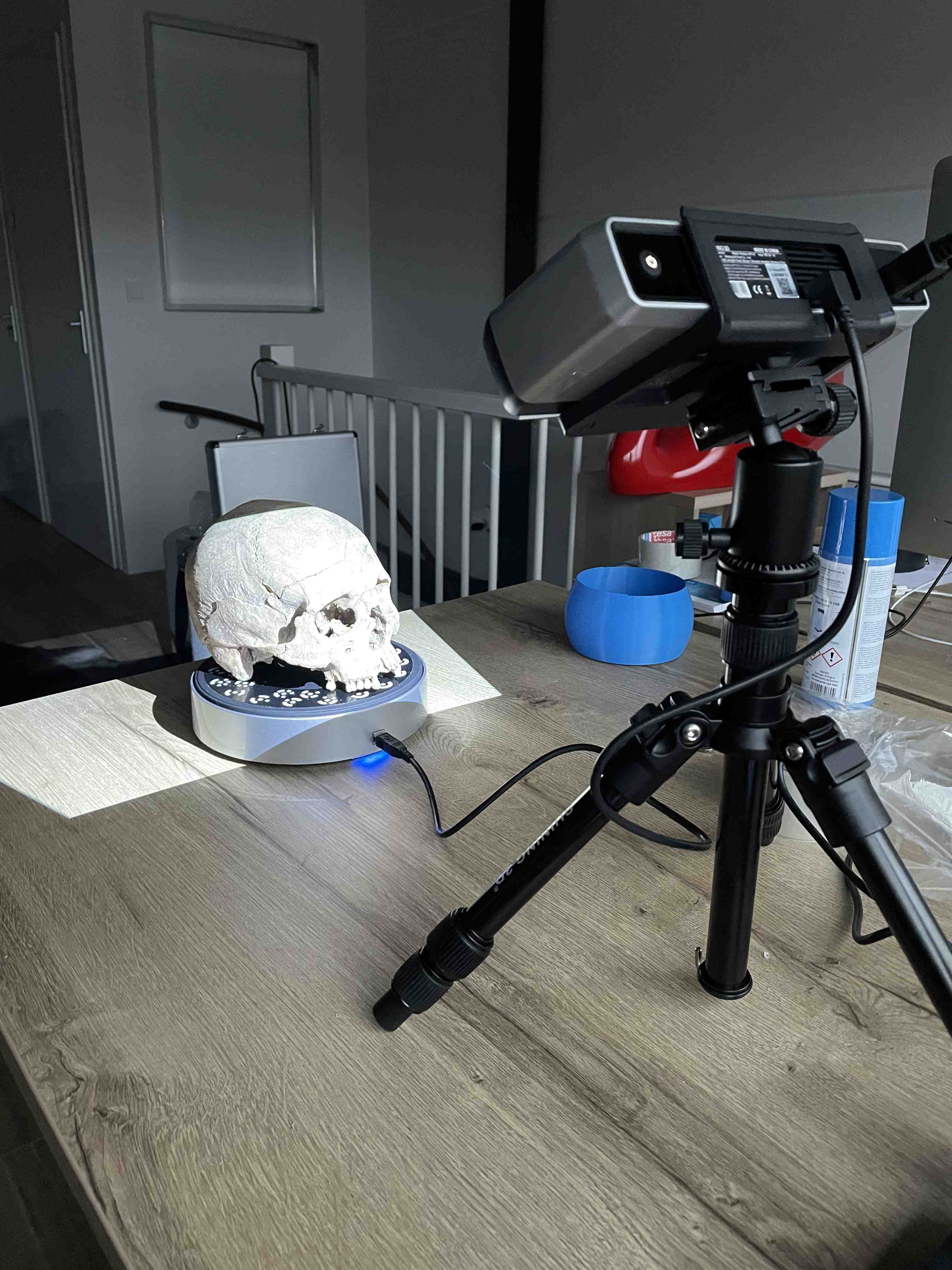 3d scanning skull